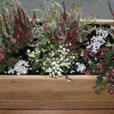 Flower box