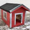 koerakuut-koerakuudid-koerakuutide müük-JACKY-dog houses-inpuit-koer-koerad-lemmikloomad-red 3.jpg