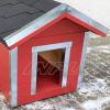 koerakuut-koerakuudid-koerakuutide müük-JACKY-dog houses-inpuit-koer-koerad-lemmikloomad-red 8 (2).jpg