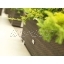 lillekast-lillekastid-lillekastide müük-isekastev lillepott-terrassi lillekastid-pruun-aiakaubad-aiakaupade müük.jpg