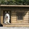 koerakuut-koer-koerakuudid-lemmikloom-soojustatud koerakuut-dog house LEXA.JPG