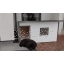 koerakuut-koer-lemmikloom-soojustatud koerakuut-dog house-Koerakuut BOSS 4.jpg