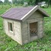 koerakuut-koerakuudid-koer-lemmikloom-soojustatud koerakuut-koerakuut JACKY-dog house JACKY.jpg